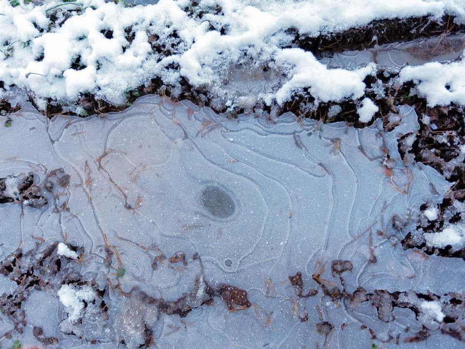 Зима отменяется: ноябрьские дожди и мягкий декабрь обещают синоптики