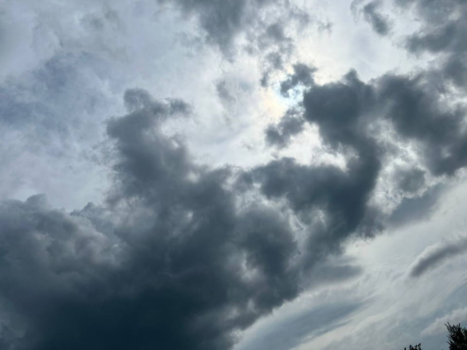 Ветер с порывами до 15 м/с разыграется в Подмосковье к ночи и не утихнет до выходных