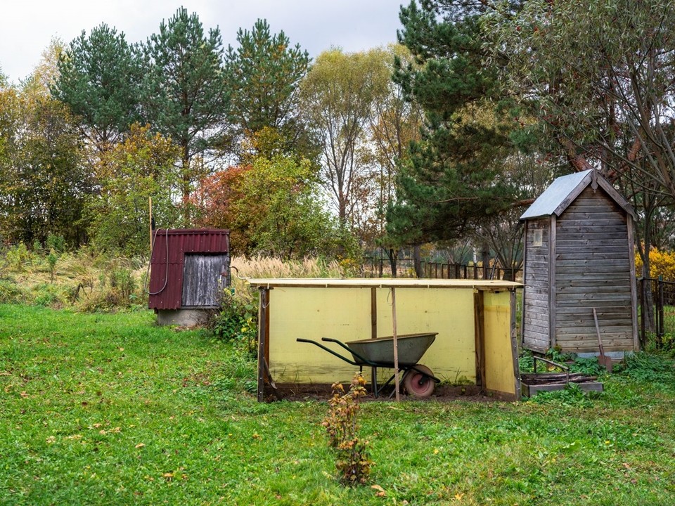 Почему пионы нельзя обрезать до первых заморозков и как подготовить растения к зиме