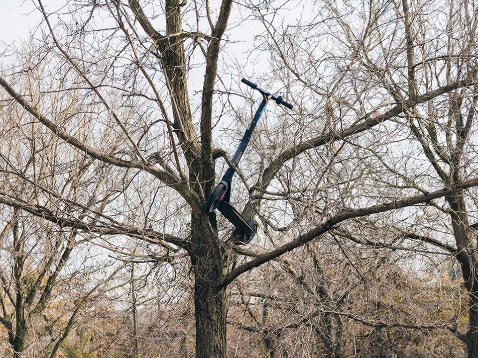 Электросамокат повис на дереве на улице Дзержинского