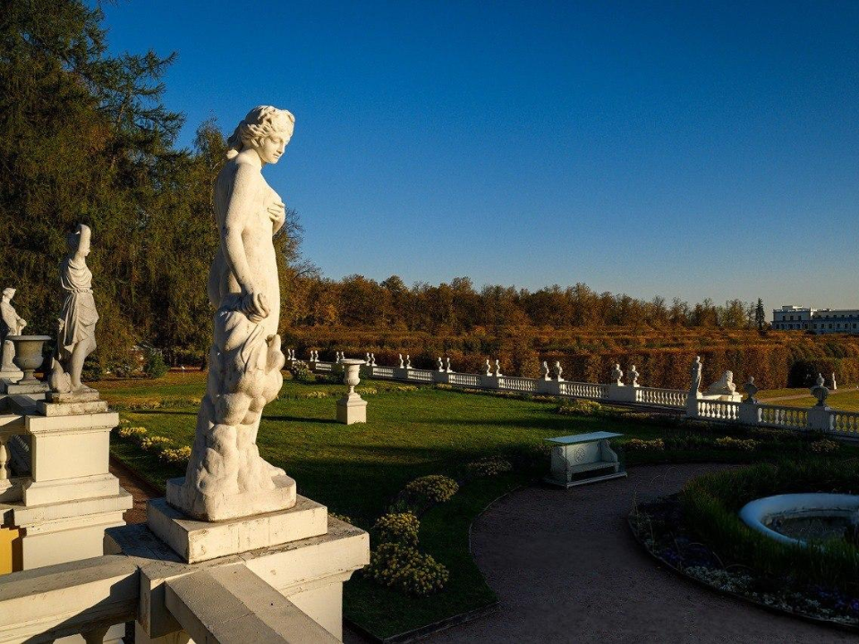 Лекции и мастер-классы для школьников и студентов проведут в Архангельском