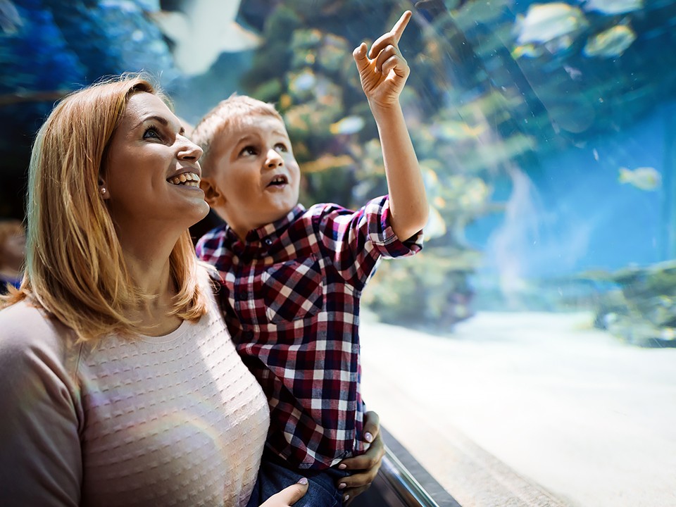 Чем заняться с ребенком в плохую погоду в Москве: 10 идей, чтобы не было скучно