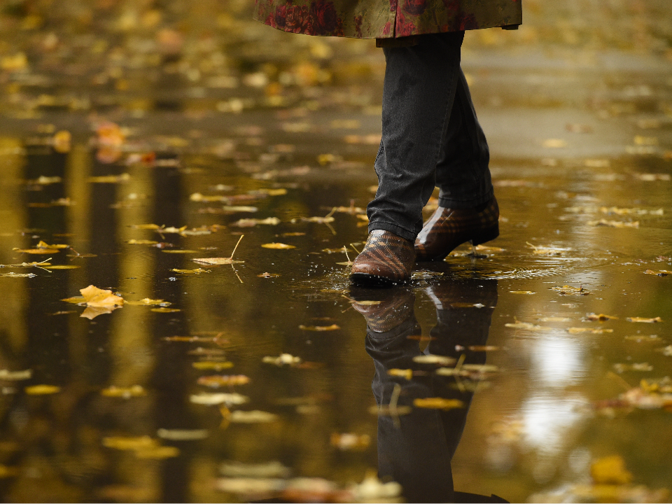 Синоптик Тишковец рассказал, когда в Подмосковье закончатся дожди