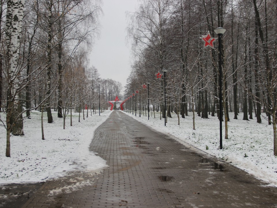 Стало известно, когда в Егорьевске ждут первый снег
