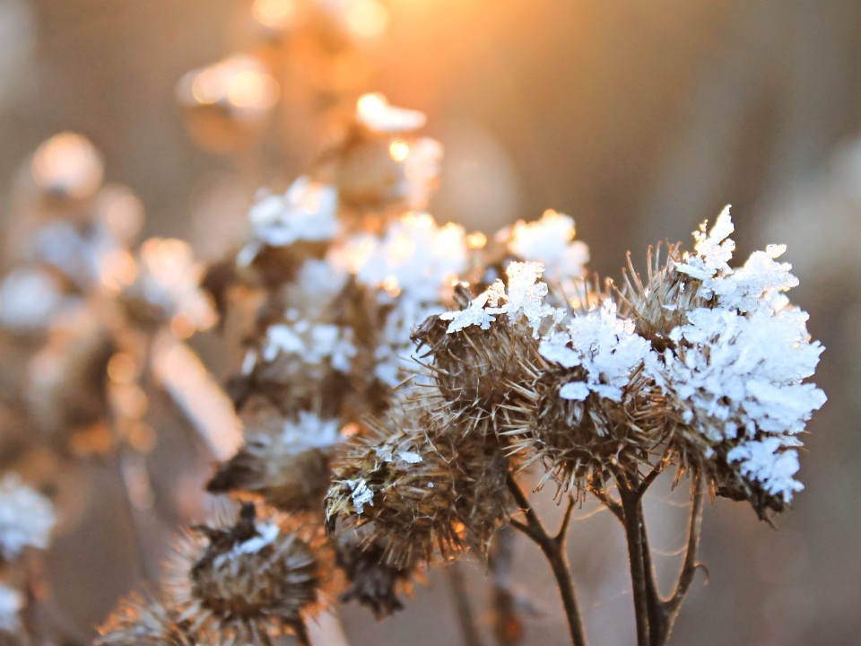 Минус 4 и снег на носу: синоптик огорошил прогнозом на выходные