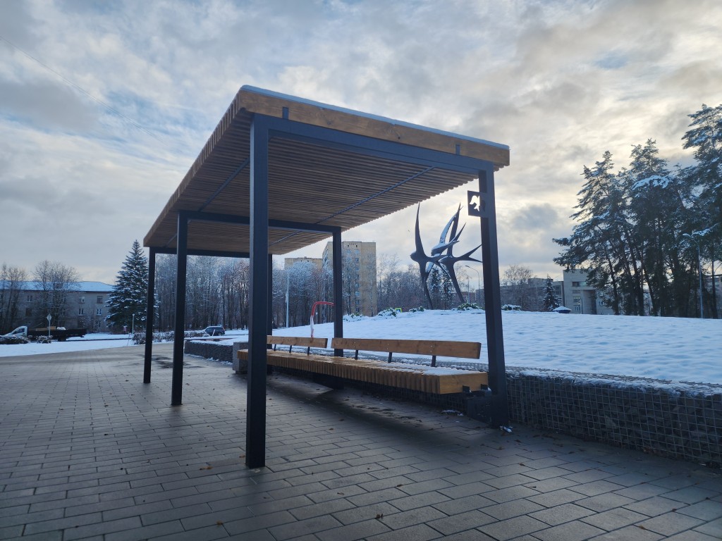 На площади у поликлиники в Черноголовке высадили 26 новых деревьев