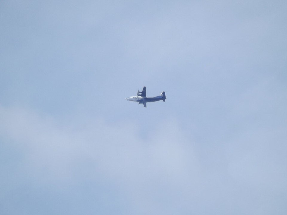 В Домодедово не хватило 90 чемоданов с одного рейса: как аэропорт решает проблему с багажом