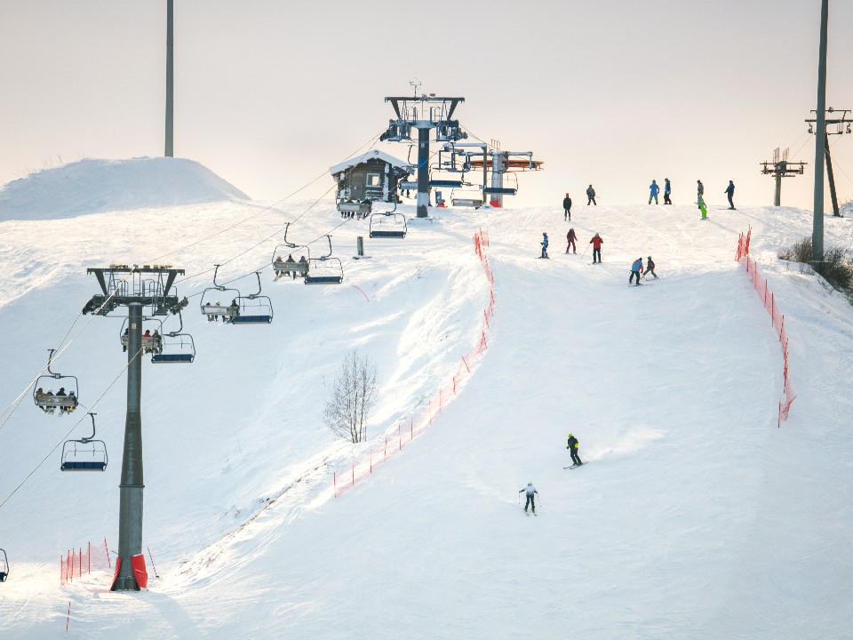 Снега будет мало, а гостей — много: как Подмосковье готовится к зиме