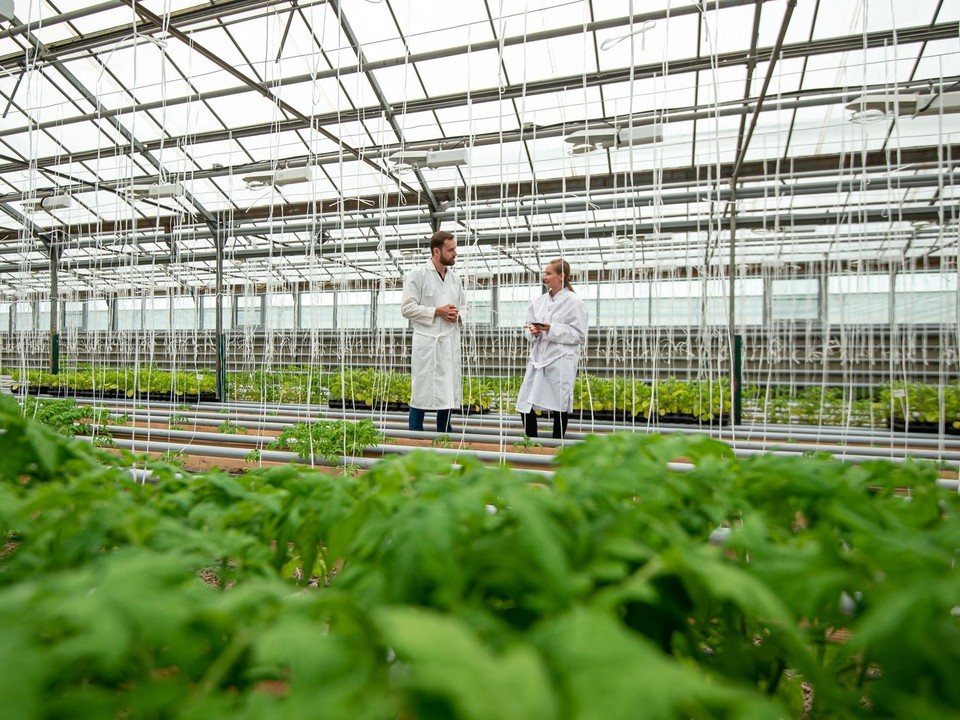 Озерское хозяйство получило статус селекционно-семеноводческой компании