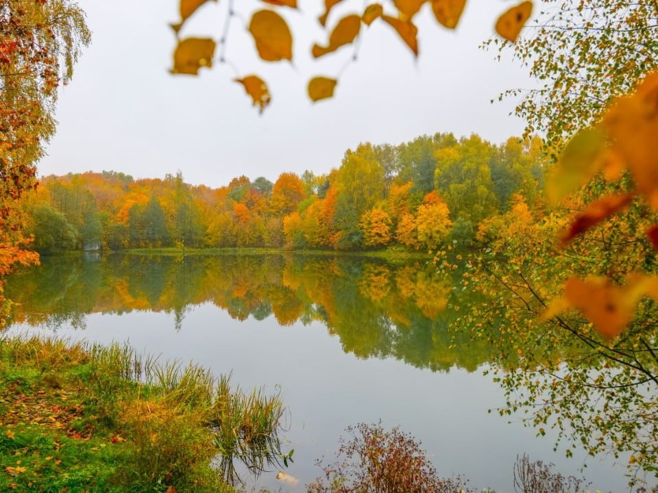 Подмосковье стало популярным направлением «рыбного туризма»