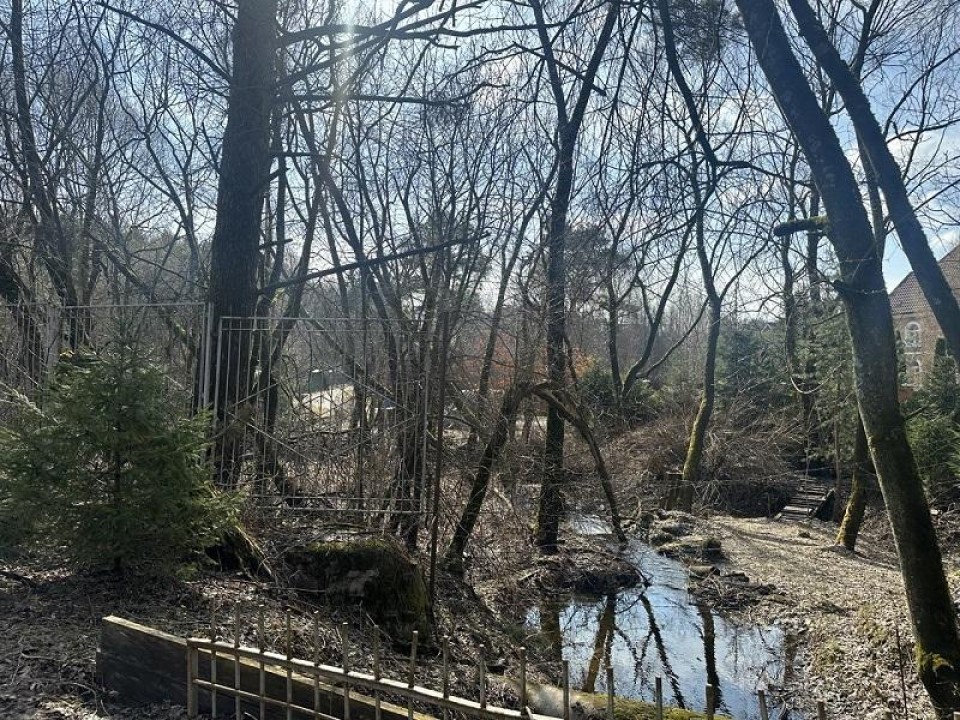 Течет ручей, бежит ручей: как в Домодедове защищают право граждан на доступ к воде