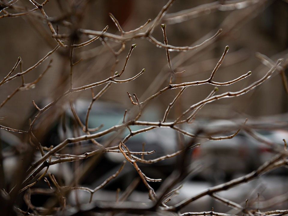 Морозы и снег откладываются: антициклон несет в Подмосковье тепло с дождями