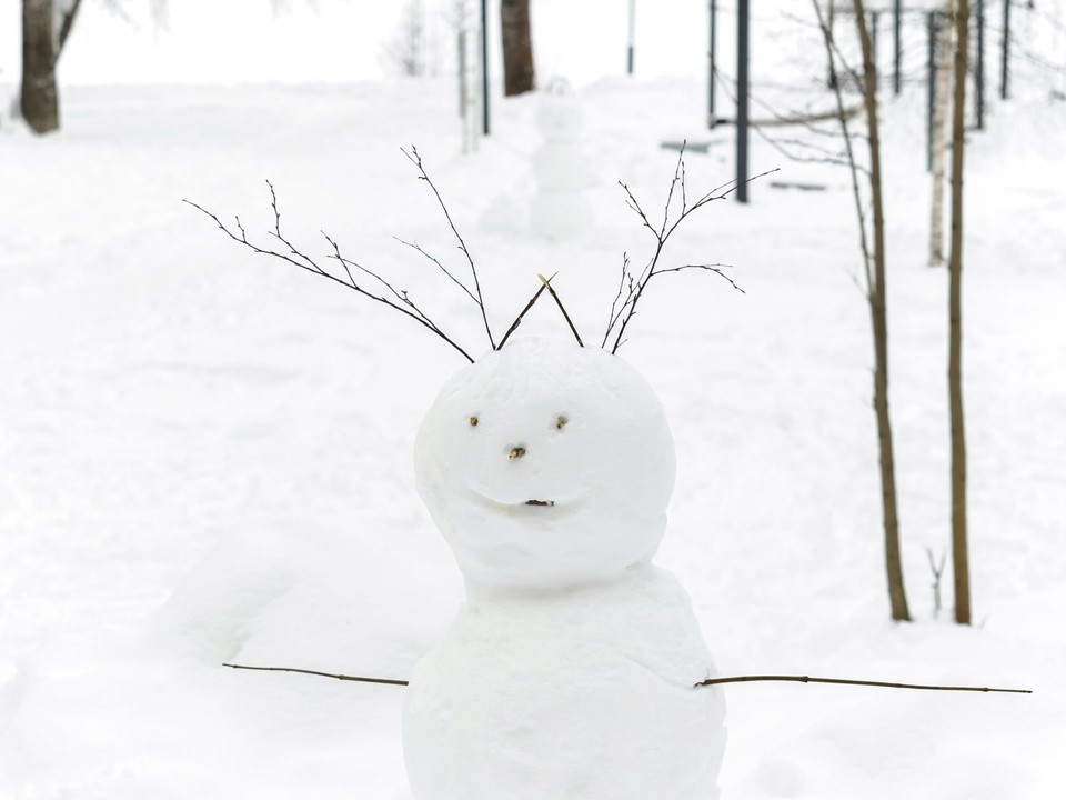 Эксклюзивные «руки» для снеговика продает жительница Щелкова