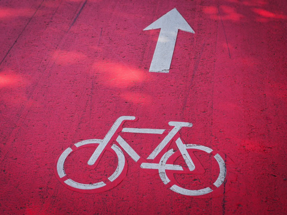 В «Лосином острове» предложили создать велодорожку, глэмпинг и школу лесовода