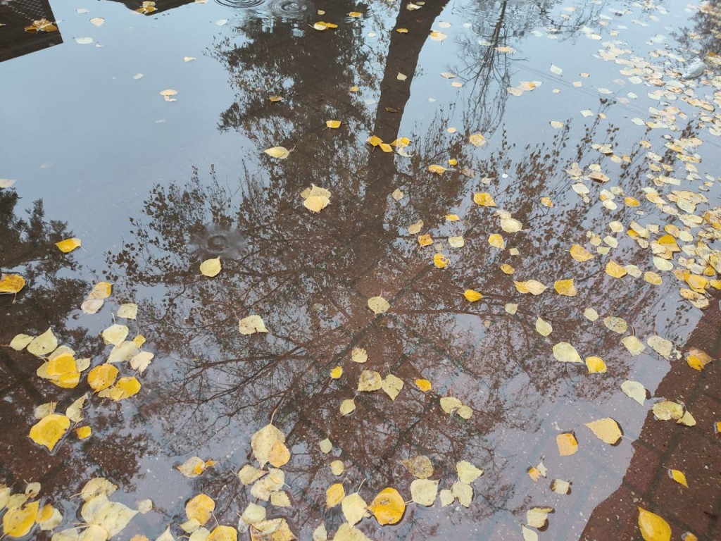 Дождь, снег и другие прелести? Определяем погоду по народным приметам 10 ноября в день Параскевы Пятницы