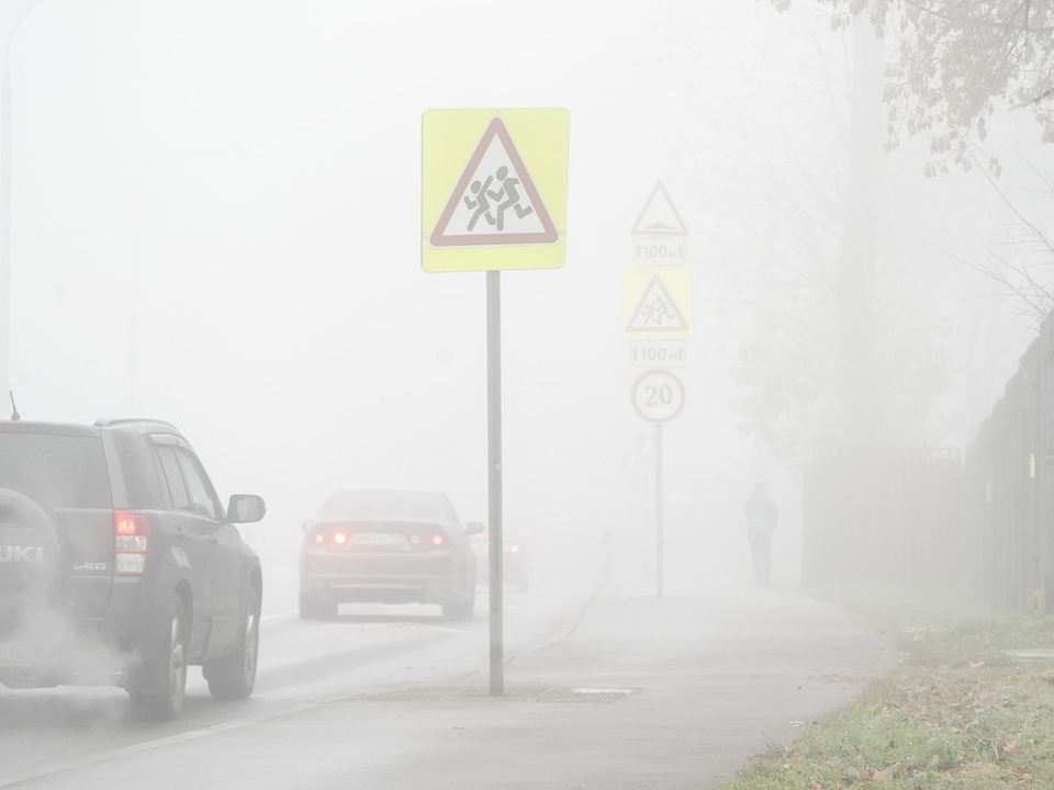 Без ежика не выбраться: густой туман накрыл Подмосковье
