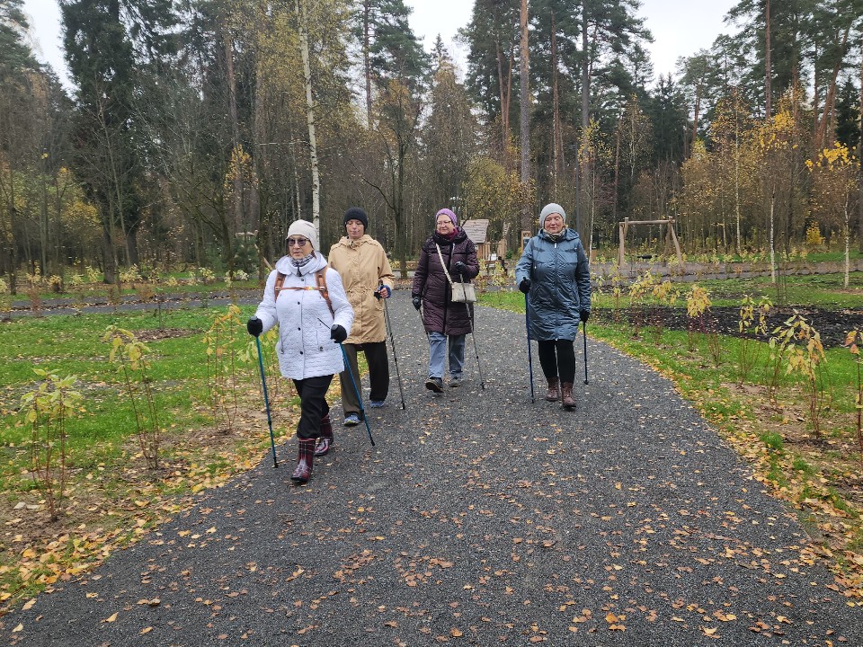 От скандинавской ходьбы до ярких квизов: городской парк приготовил развлечения для лотошинцев