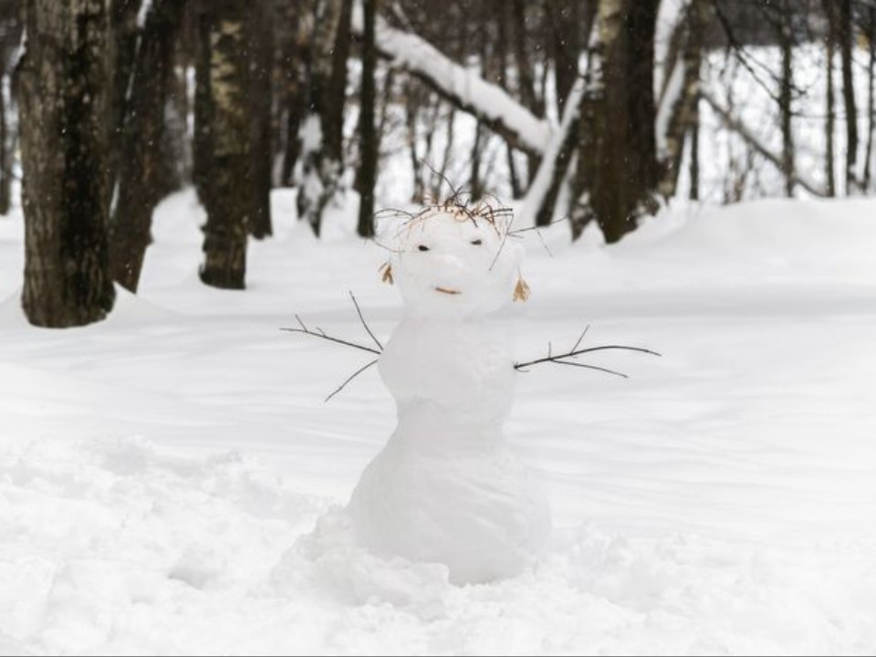 В Одинцове креативно подошли к первому снегу