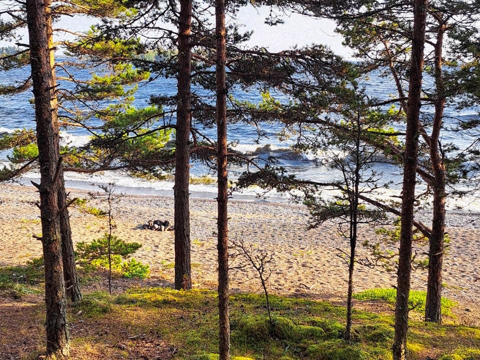 Как отдохнуть на море зимой, не выезжая за границу: стоит обратить внимание на один тип отелей