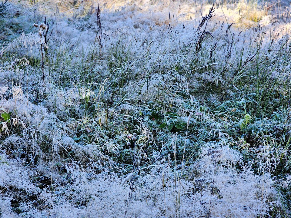 Лыжи, коньки и горячий чай: чем удивят парки Сергиева Посада этой зимой