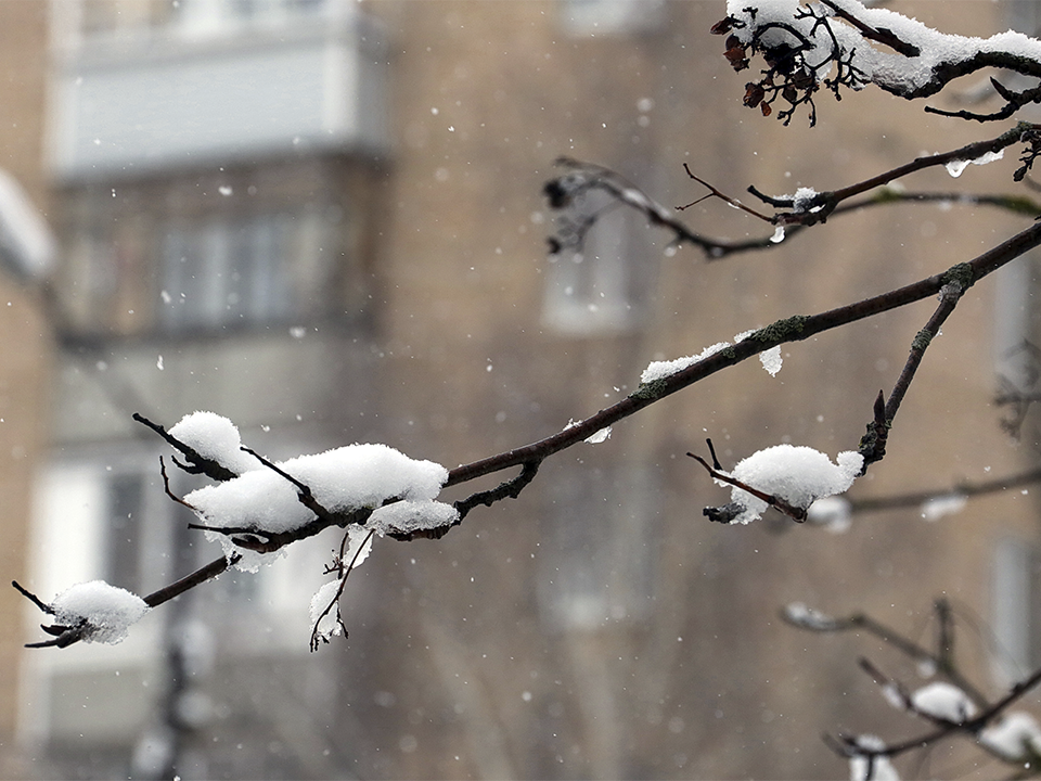 Первый снег уже близко: синоптик Тишковец назвал точную дату похолодания и появления гололедицы