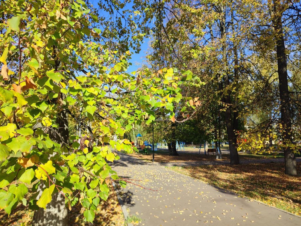 От дождей к резкому потеплению: как изменится погода в Подмосковье в ближайшие дни