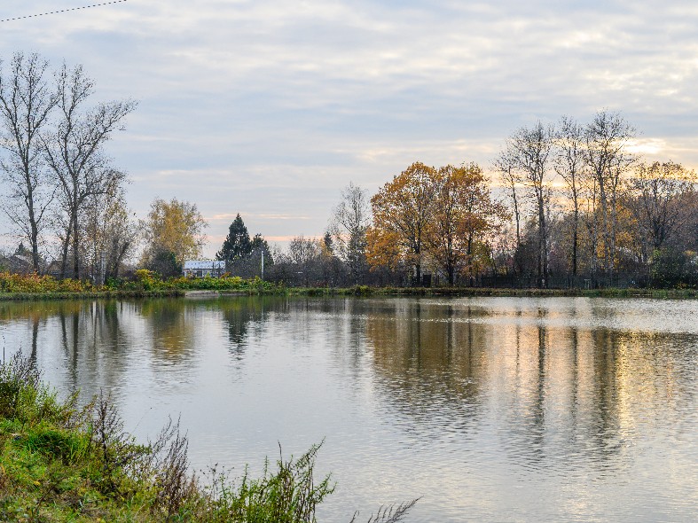 Жители решат, какие пруды расчистят в Подмосковье в следующем году: как отдать голос через «Добродел»