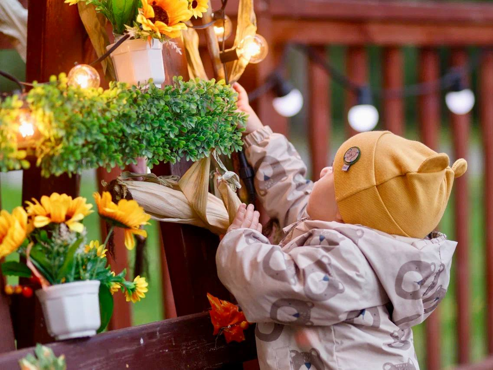 Парк в Кашире приглашает интересно провести выходной день