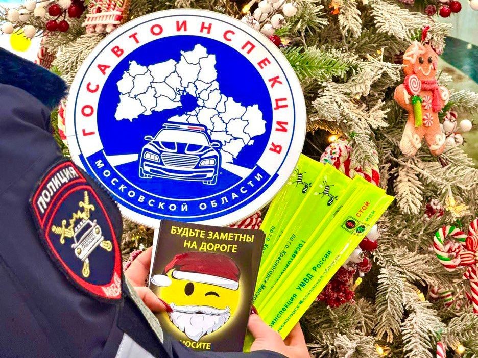 В день рождения Деда Мороза ГИБДД Красногорска помогла детям засветиться по ПДД