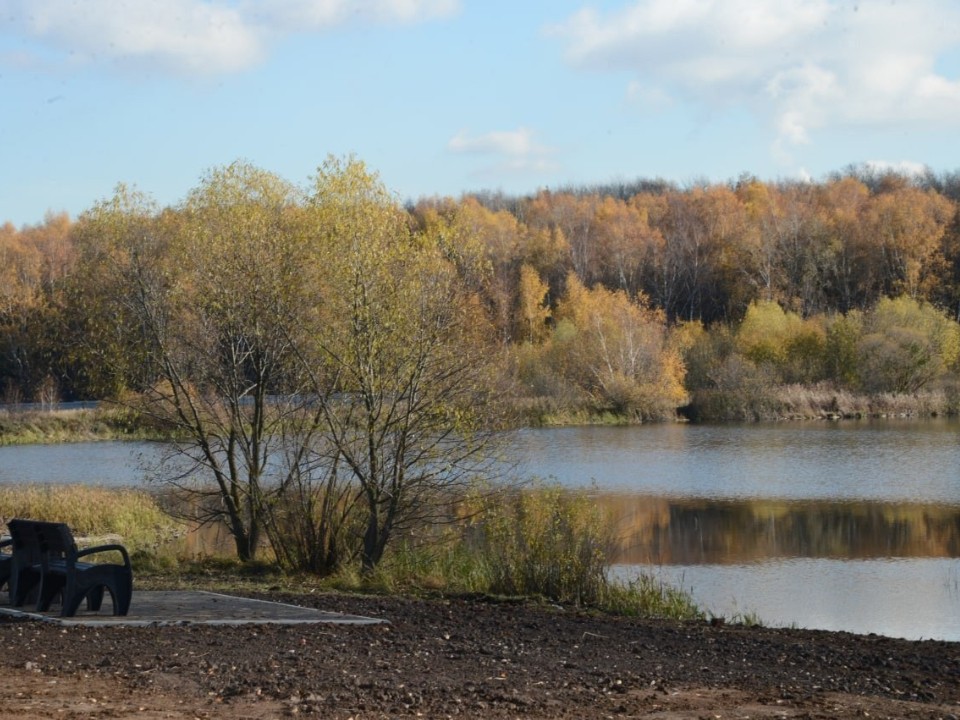 Пруд в поселке Возрождение лидирует в народном голосовании