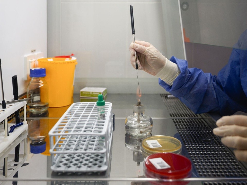 Выгоднее бумаги заполнять: врач Мясников назвал плюсы платной медицины