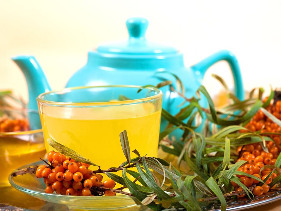 Все прекрасно, суперфуд: одну доступную ягоду признали целебной и омолаживающей