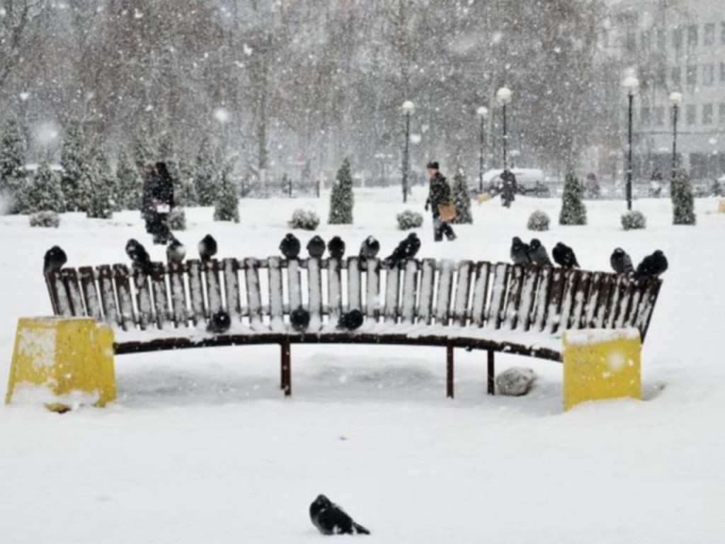 «Без снега не останемся!»: метели и морозы придут в Подмосковье в декабре