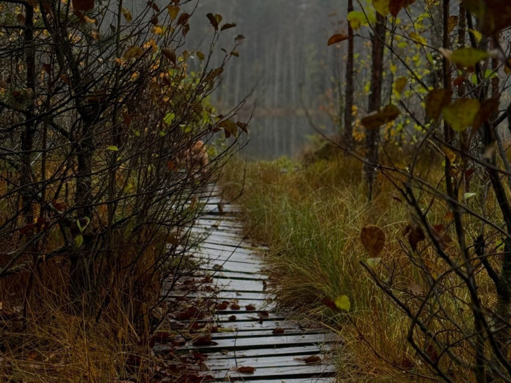 Что категорически запрещалось делать 8 ноября, чтобы зло не вернулось вдвойне