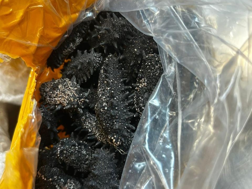 Подарок жене за полмиллиона: что нашли в Шереметьево у мужчины, летевшего в Китай