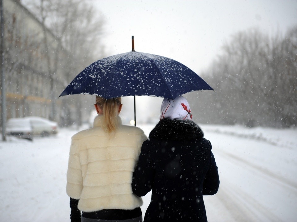 Все-таки зима или еще осень: какой будет погода в выходные в Подмосковье