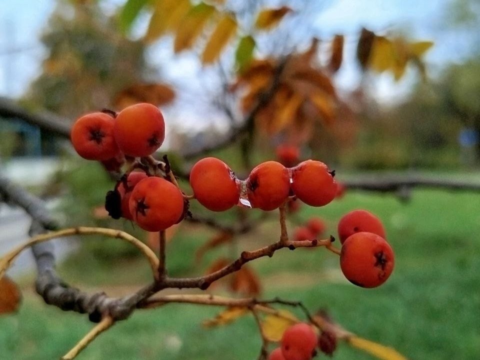 Гороскоп для всех знаков Зодиака на 26 ноября 2025: Рыбы откажутся от поездки, Козероги избегут подвоха, а Львы проявят заботу о близких