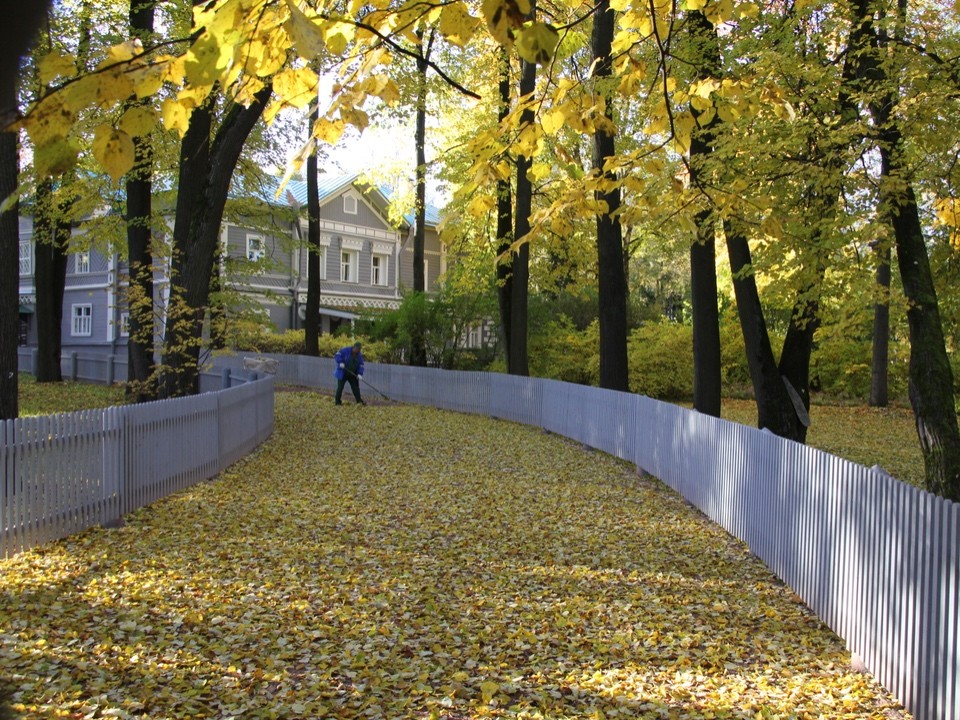 Поцелуево, Свиноедово и Киска: какие смешные названия реально существуют на карте Подмосковья