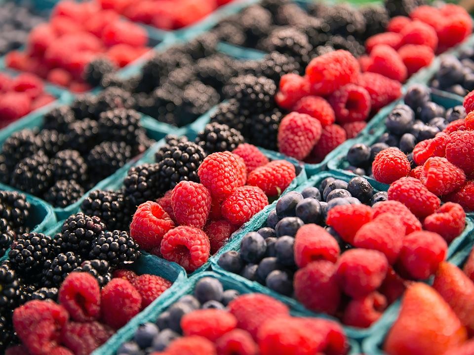 Ноябрь не приговор: что нужно сделать осенью, чтобы летом собрать рекордный урожай