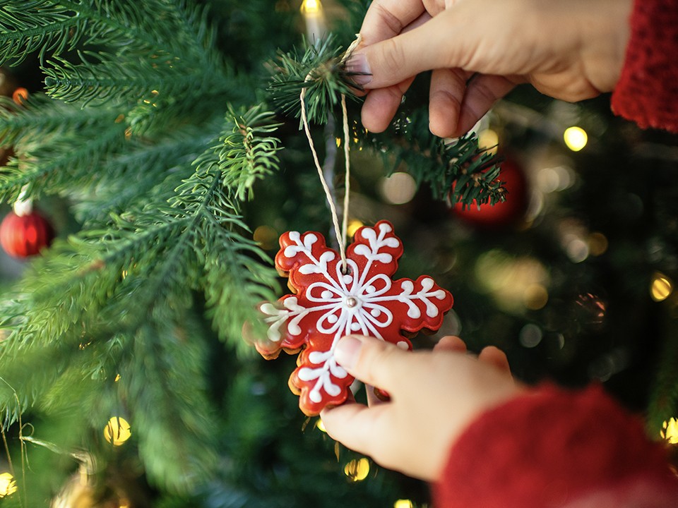 Новый год напрокат: елки, игрушки и украшения теперь можно не покупать, а взять в аренду