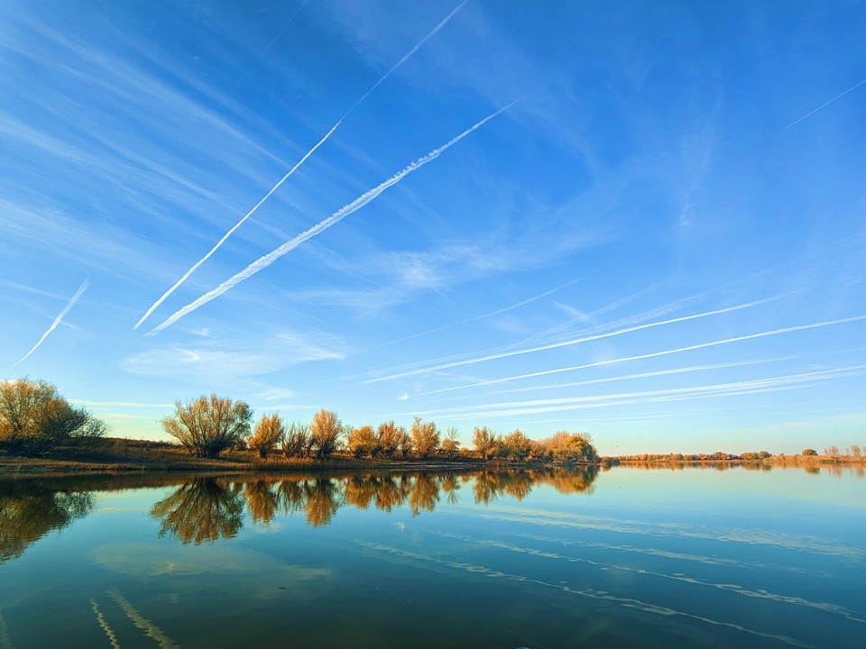Метеоролог раскрыл, какой будет погода в Подмосковье до конца недели