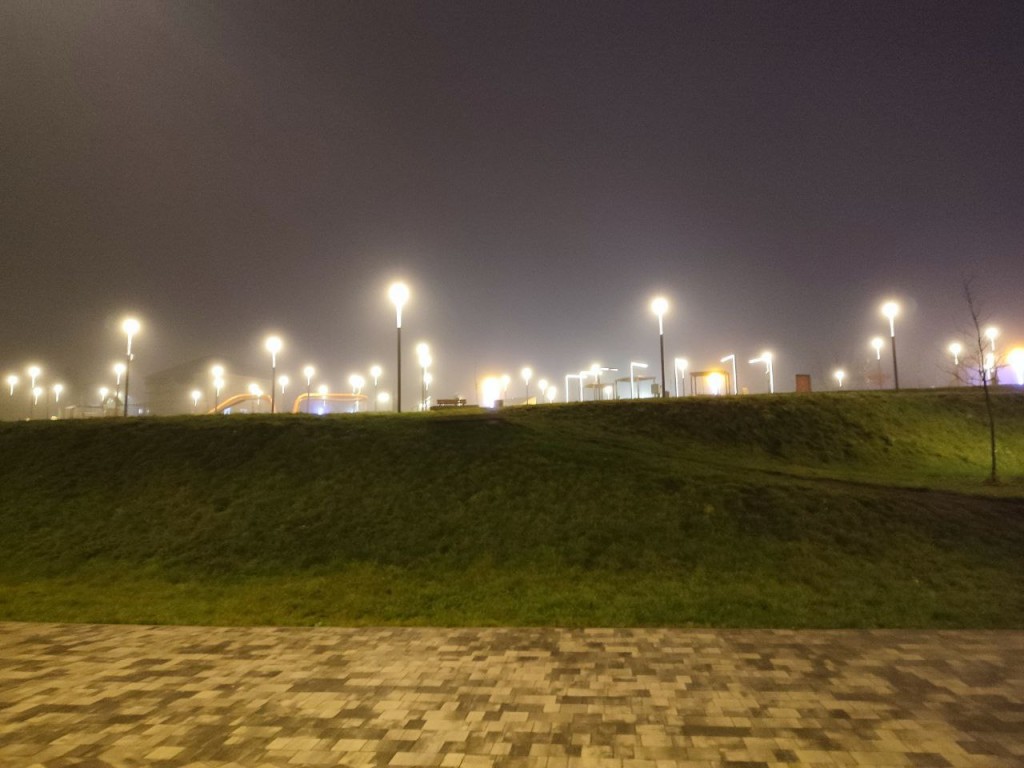 Густой туман окутает Подмосковье в ночь на воскресенье