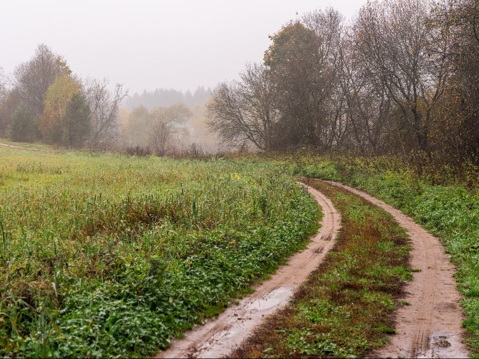 Три дня дождя: как непогода сделала Подмосковье неуязвимым для возгораний