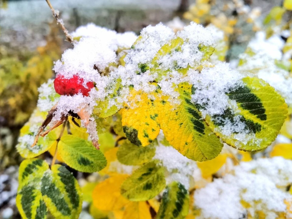 Иван Милостивый: 5 строгих «нельзя» 25 ноября