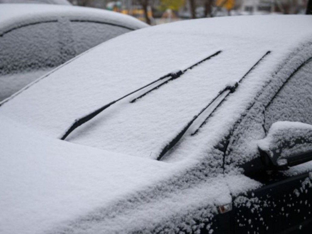 Когда выпадет снег? Синоптик Позднякова сообщила важную дату прихода зимы в Подмосковье