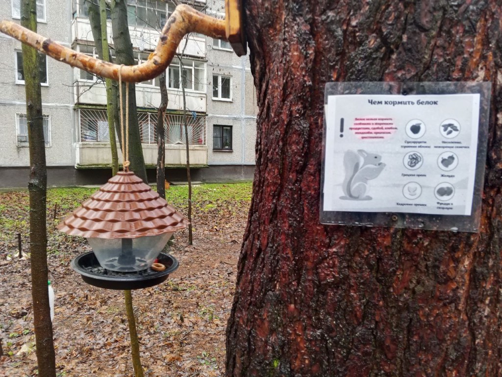 Строго по инструкции: кормушки для белок с описанием меню установили в парке
