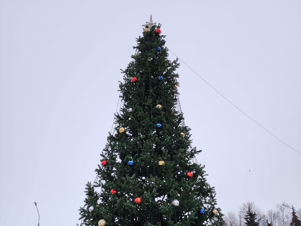 «Сотни зимних праздников»: Истра превратит свои парки в большую новогоднюю площадку