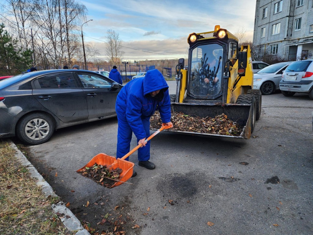 На Барских прудах оперативно устранили последствия шквалистого ветра