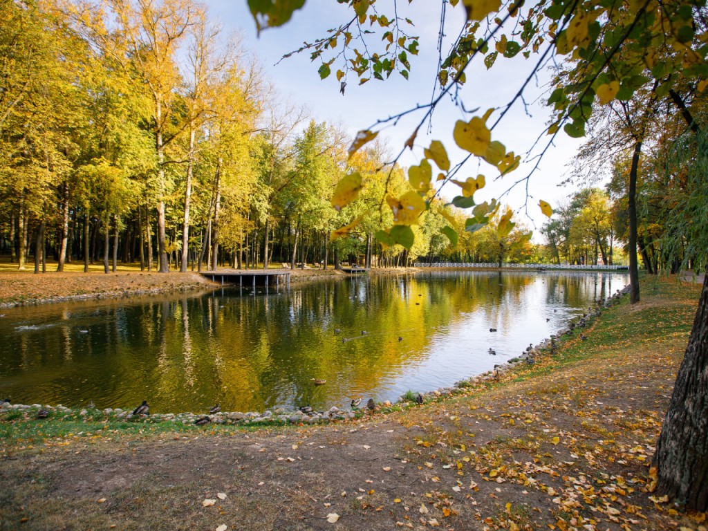 Улицу Ваншенкина откроют в Воскресенске в честь 100-летия со дня рождения поэта
