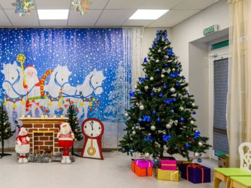 Елка на время: как взять главное новогоднее украшение напрокат